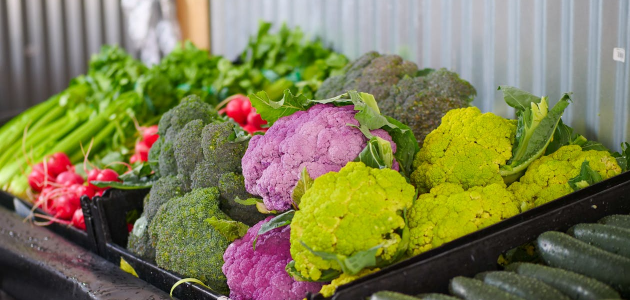 Are You Fertilizing Right This Spring? The Secret to Higher Crop Yields