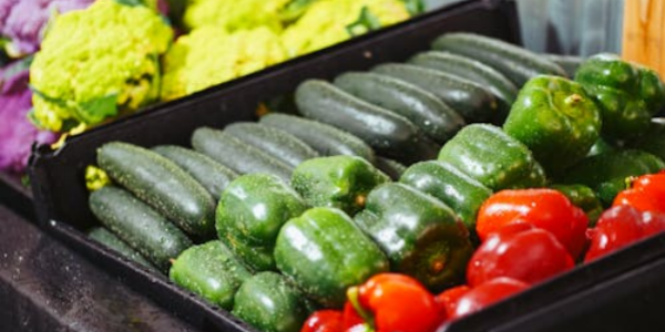 Grow Better Cucumbers This Spring—Naturally and Sustainably