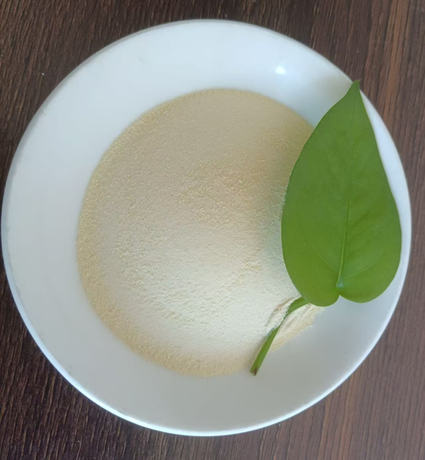 organic nitrogen fertilizer.jpg