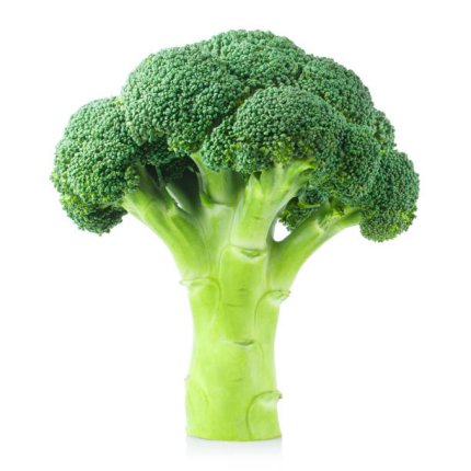 a0e7829938d962b1c0277d509701cf82.png