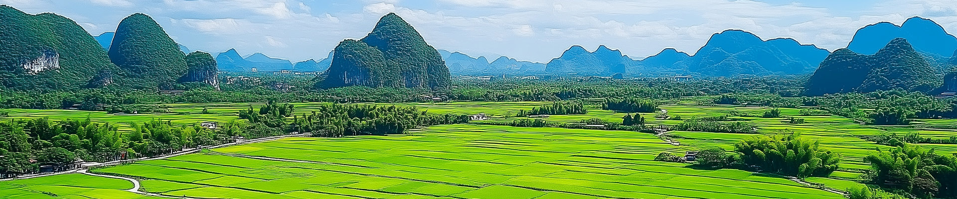 Custom Organic Farming Programs