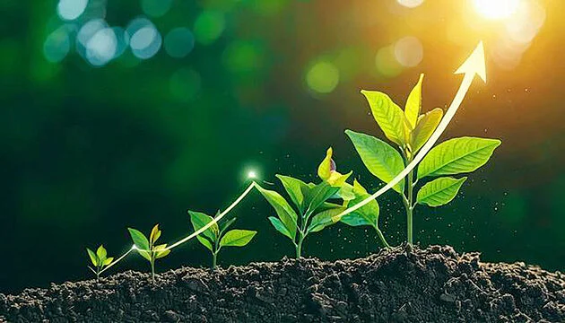 The Value of Amino Acids in Modern Agriculture