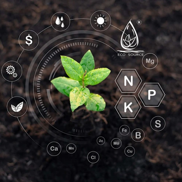 Organic Plant Fertilizer: A Direct Path to Richer Soil Organic Matter