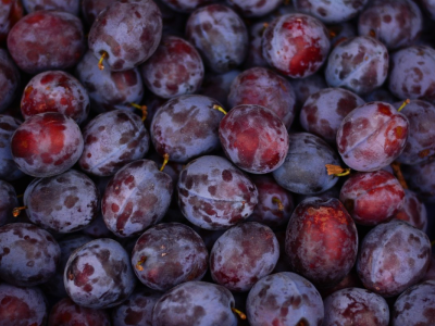 The Orchard Chronicles: Why Plums Deserve a Second Look